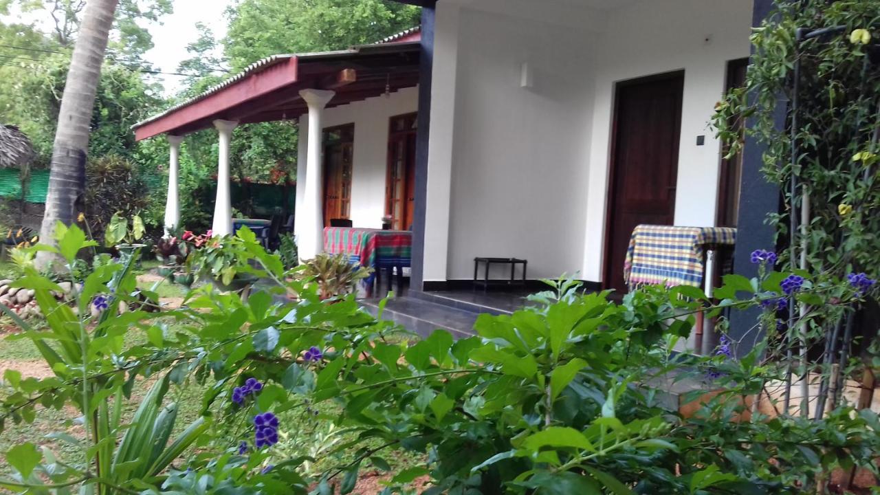 Sigiri Shen Residence シギリヤ エクステリア 写真